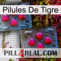 Tiger Pills 14
